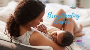 Baby Bungalow Breastfeeding Basics.jpg