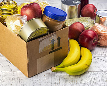 Kids Tampa: Holiday Resources - Fun 4 Tampa Kids
