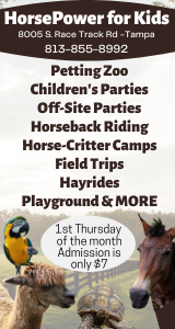 HorsePower for Kids 