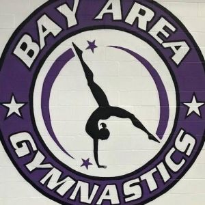 Bay area gymnastics.jpg