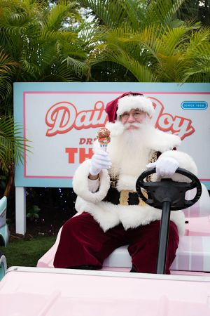 Dairy Joy Santa.jpg