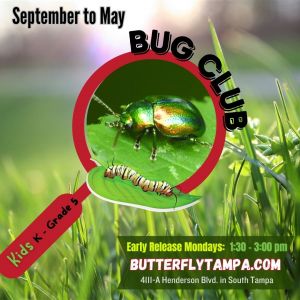 Bug-Club-Logo23.jpg