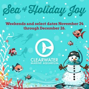 CMA Sea of Holiday Joy.jpg