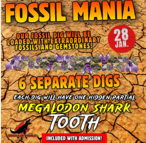 Fossil Mania.png