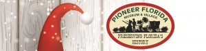 Pioneer_Christmas_TOP_2021small.png