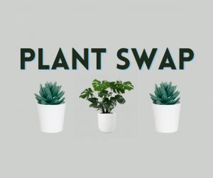 Plant Swap.jpg