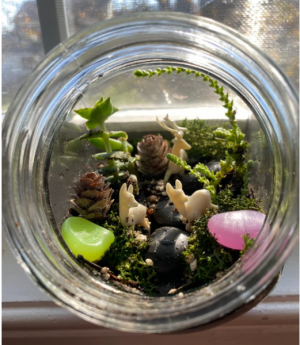 NR_SWB_1.18.25_Terrariums_Garden_Club.png