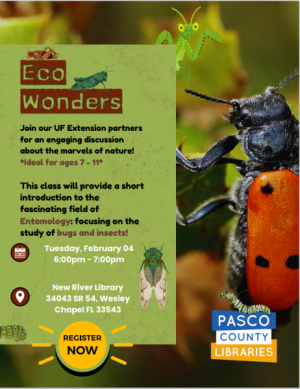 NR_SWB_02.04.25_Eco_Wonders_Bugs.png