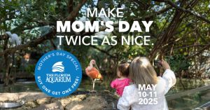 FAQ_MothersDayPost_1920x1005-1024x536.jpg
