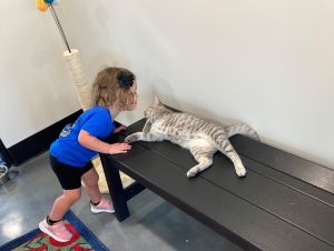 pets-tots-3.jpg