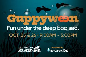 TFA_Guppyween-2025-Weekend_900x600_Date.jpg
