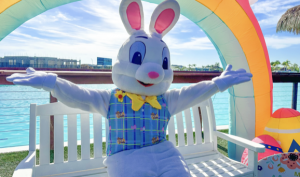 Screenshot 2026-03-05 at 2.23.22 PM.png