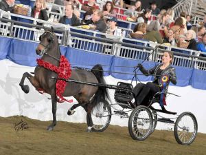 united-professional-horsemens-association.jpg