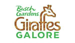 384x220_BGT_Event_Giraffes_Galore.jpg