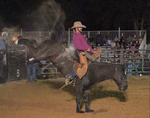 TBR Rodeo pic.jpg