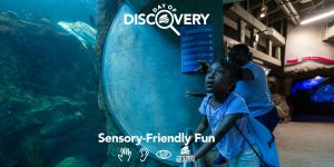 TFA_Girl-in-TunnelDay-of-Discovery_2000x1000.jpg
