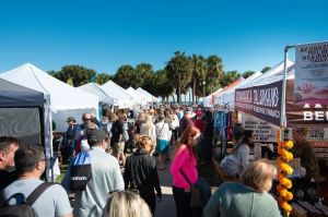 16th Annual Shopapalooza Festival crowd at Vinoy Park
