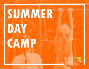 Pasco County Day Camps - Fun 4 Tampa Kids