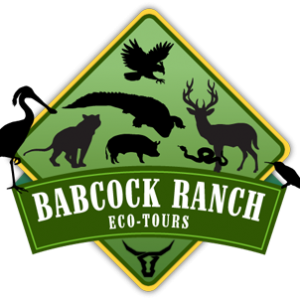 Southwest Florida - Babcock Ranch Eco Tour