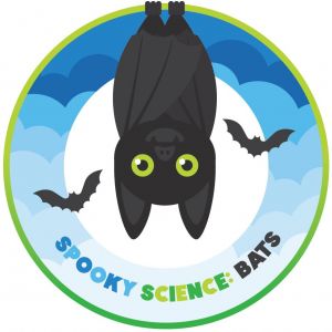 Glazer Children's Museum Sensory-Friendly Halloween Spree