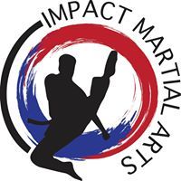 Westchase Impact Martial Arts Thanksgiving Break Camp