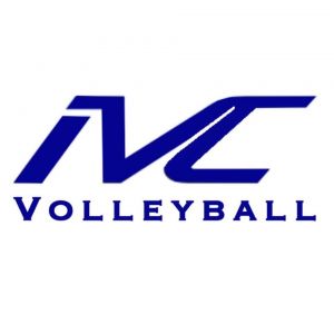 International Volleyball Company