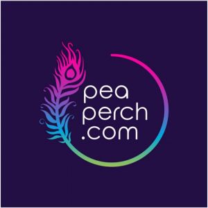 Peacock Perch Chair Furniture Rental