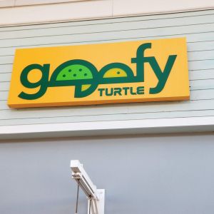 Goofy Turtle Toy Store