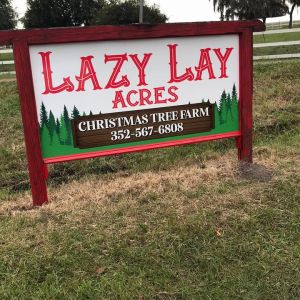 Lazy Lay Acres Christmas Tree Farm