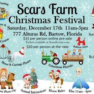Scars Farm Christmas Festival and Breakfast with Santa
