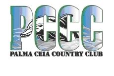 Palm Ceia Swim Team