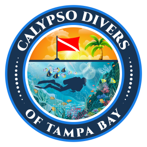 Calypso Divers of Tampa Bay