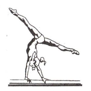 East Pasco Gymnastics