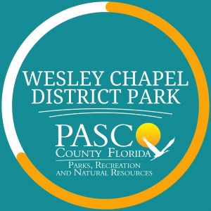 Wesley Chapel District Park Thanksgiving Break Camp