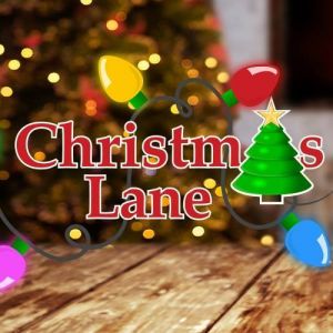 Christmas Lane at Florida Strawberry Festival Grounds