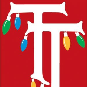 Temple Terrace Light Show