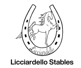 Licciardello Stables Winter Camp