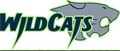 New Tampa Wildcats Football and Cheerleading