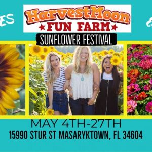 HarvestMoon Farm Sunflower Festival