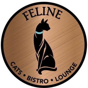 Feline Cats Bistro Lounge Summer Cat Camp