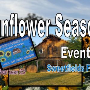 Sweetfields Farm Sunflower Season