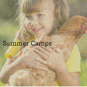 Raprager Family Farms Summer Camp