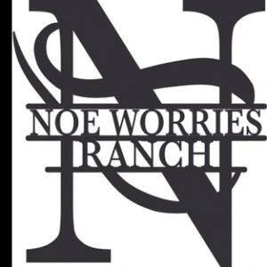 Noe Worries Ranch Parties