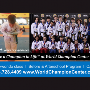 World Champion Center Taekwondo - Before & After School Care
