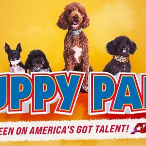 Puppy Pals LIVE! at New Tampa Performing Arts Center