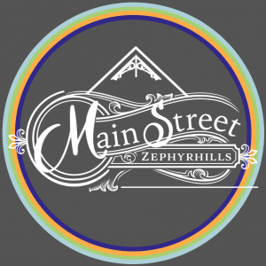 Main Street Zephyrhills Christmas Tree Lighting