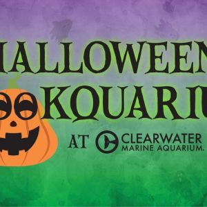 Clearwater Marine Aquarium Spookquarium