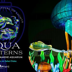 Clearwater Marine Aquarium - Aqua Lanterns: A Chinese Festival of Lights