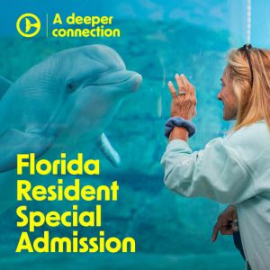 Clearwater Marine Aquarium Florida Resident Offer