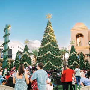 Shops at Wiregrass Symphony in Lights